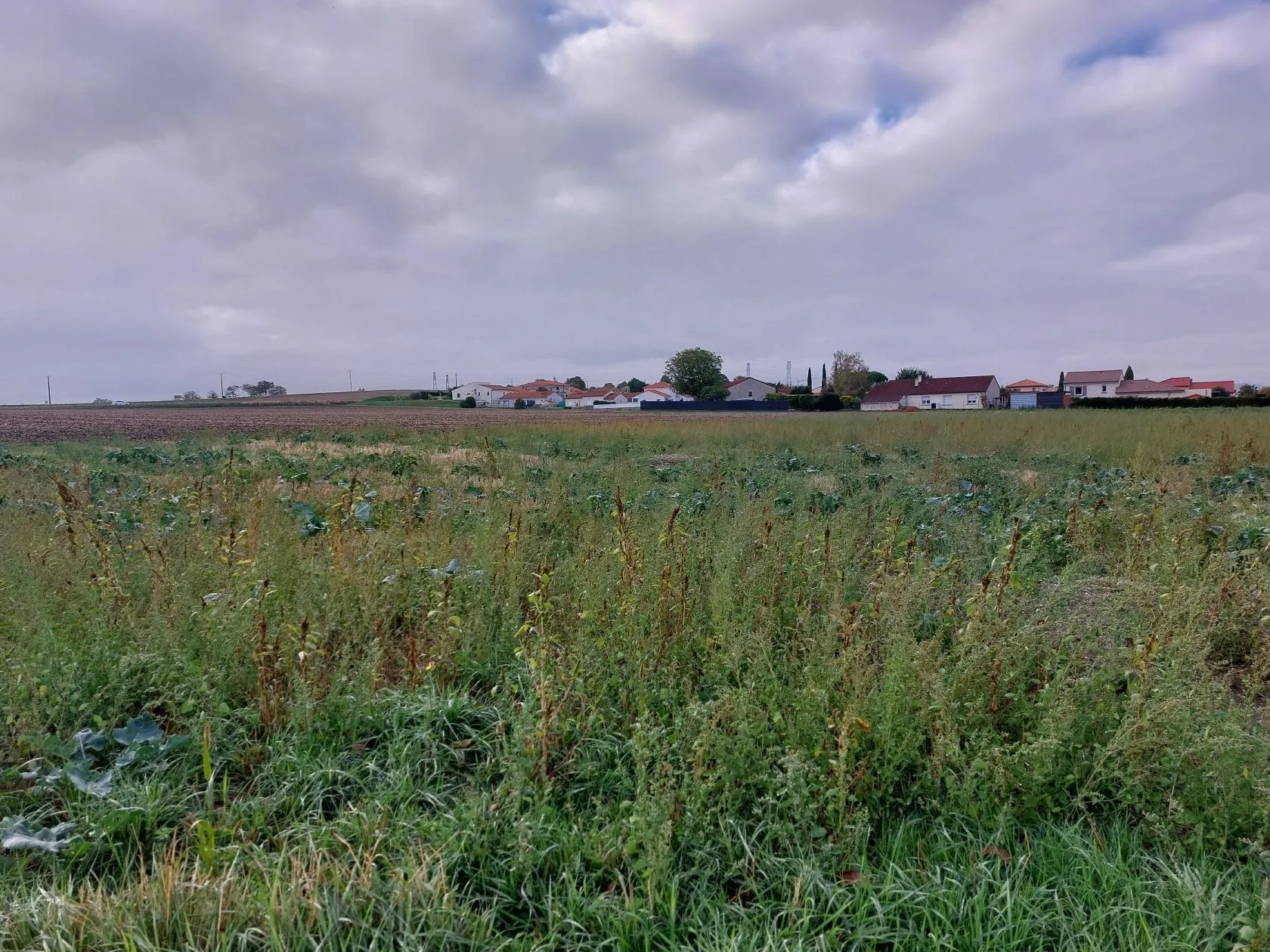 Terrain à bâtir 314 m² à Martres-d'Artière (63430)