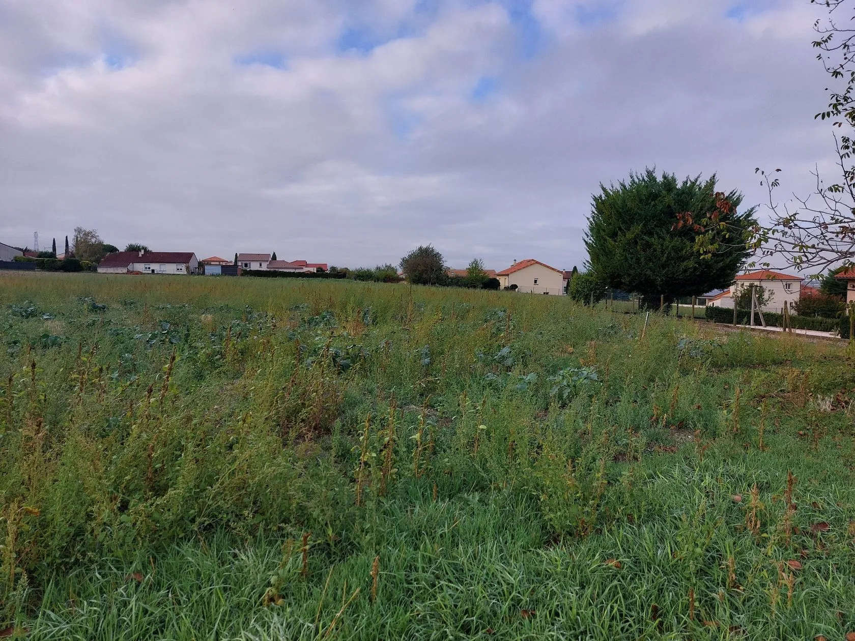 Terrain à bâtir 314 m² à Martres-d'Artière (63430)