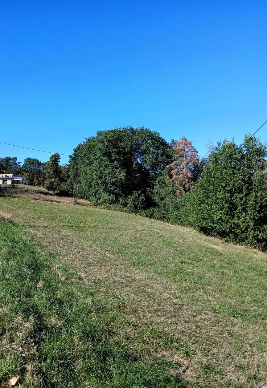 Terrain à bâtir 1558 m² à Sarlat-la-Canéda (24200)
