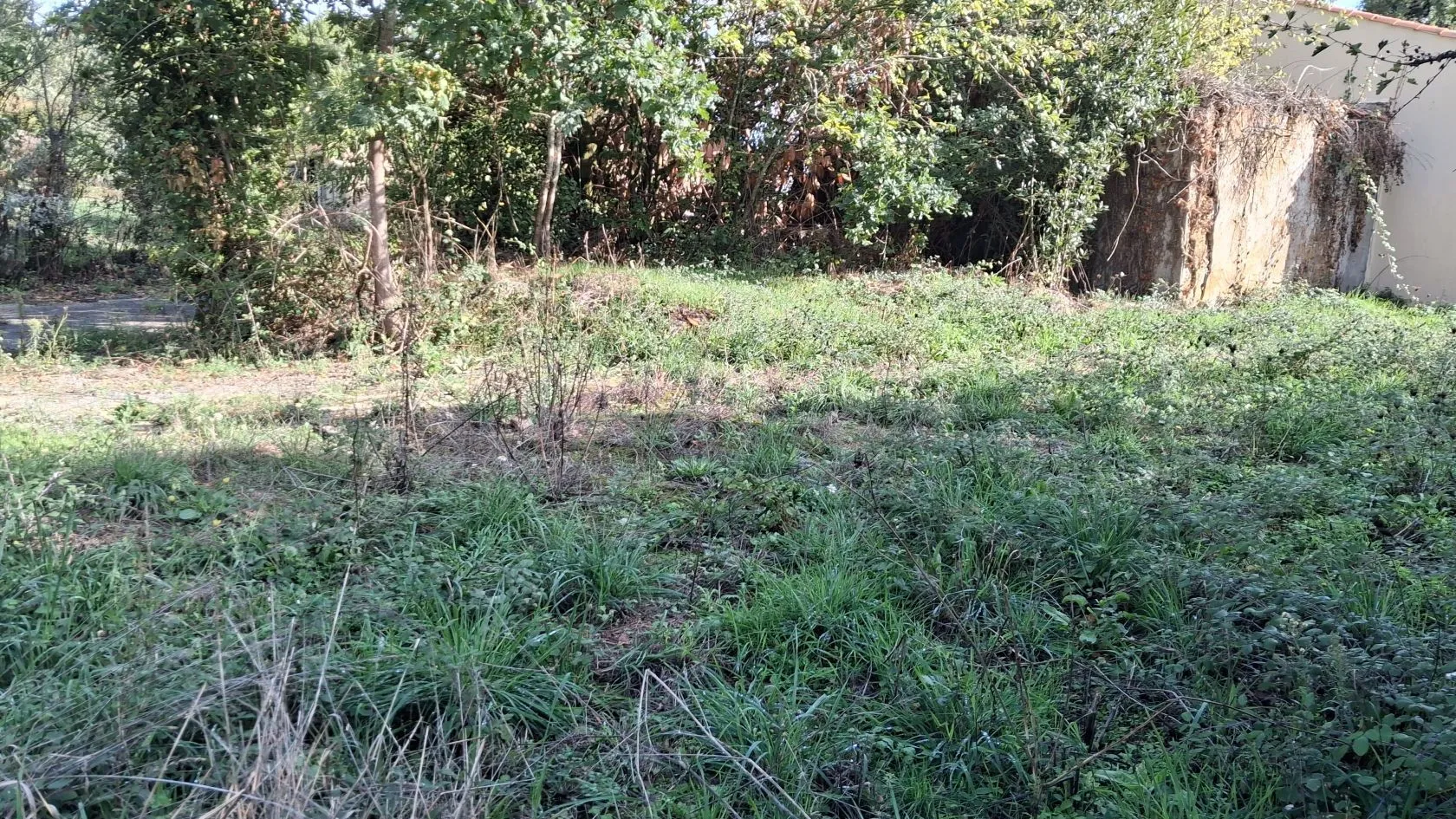 Terrain à bâtir 546 m² à Avrillé (85440)