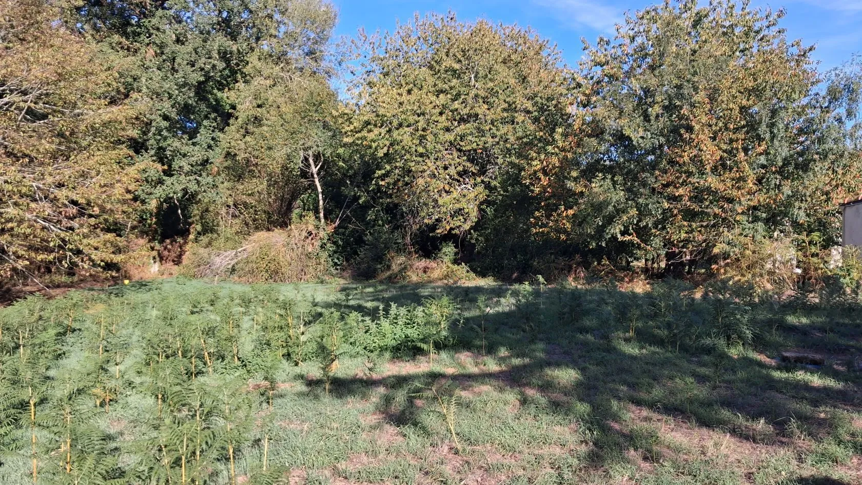 Terrain à bâtir 3000 m² à Saint-Julien-des-Landes (85150)