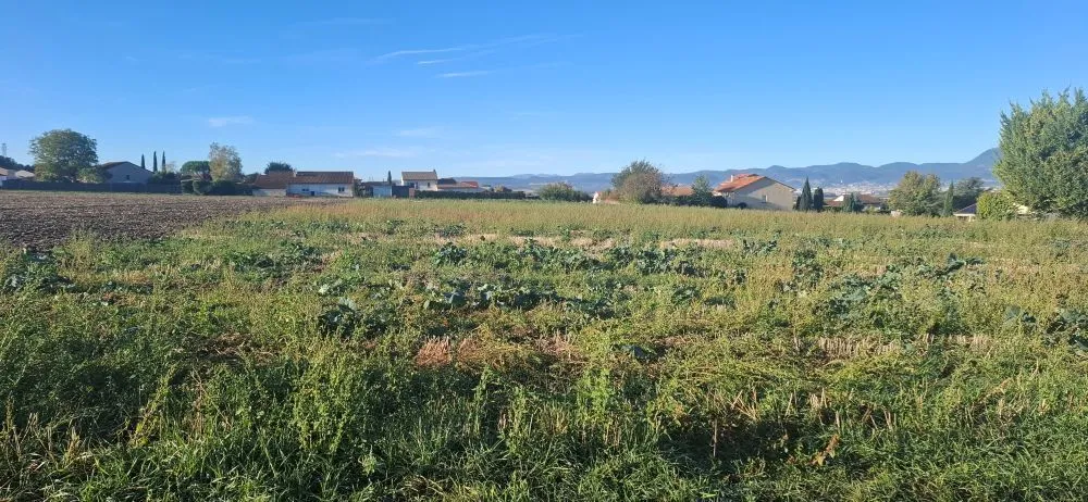 Maison neuve 102 m² à Martres-d'Artière (63430)