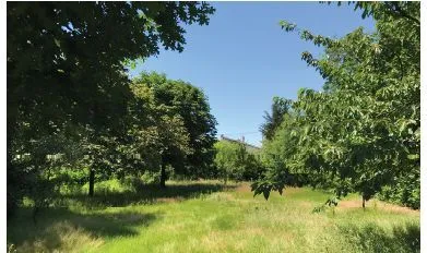 Terrain à bâtir 352 m² à Pessac (33600)