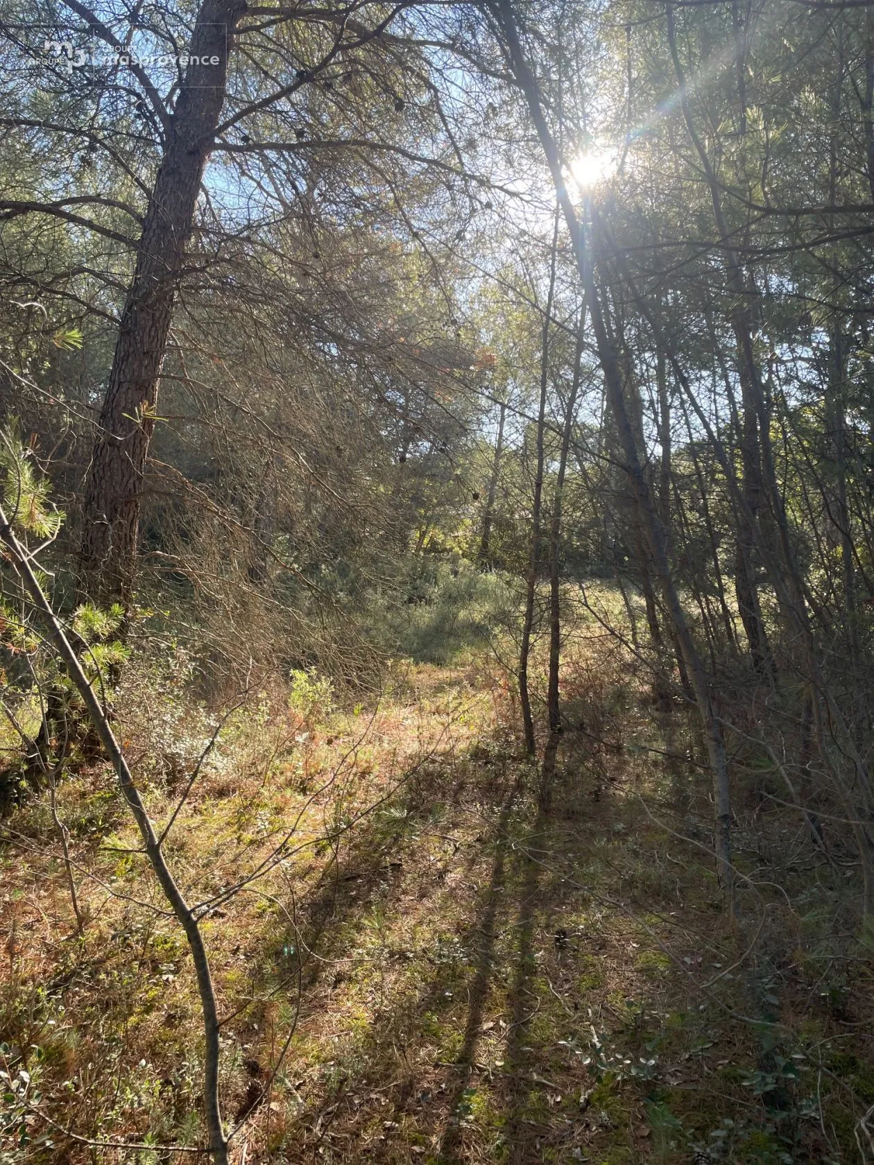 Terrain à bâtir 527 m² à Lambesc (13410)