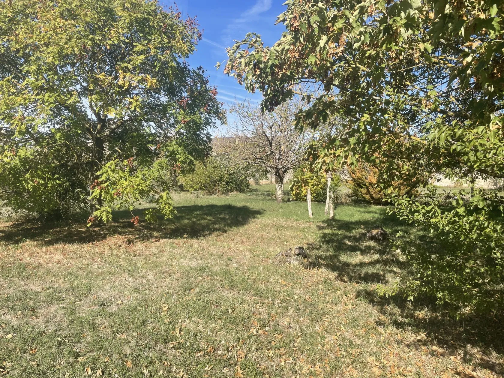 Terrain à bâtir 583 m² à Doué-la-Fontaine (49700)