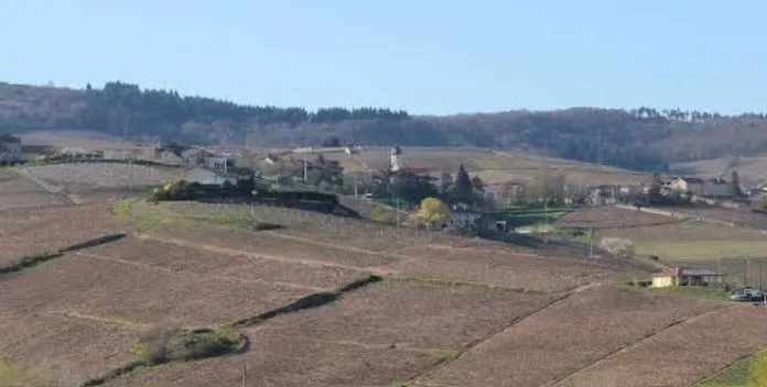Maison neuve 99 m² à Chiroubles (69115)