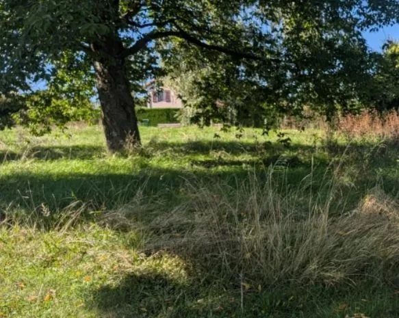 Maison neuve 130 m² à Gleizé (69400)