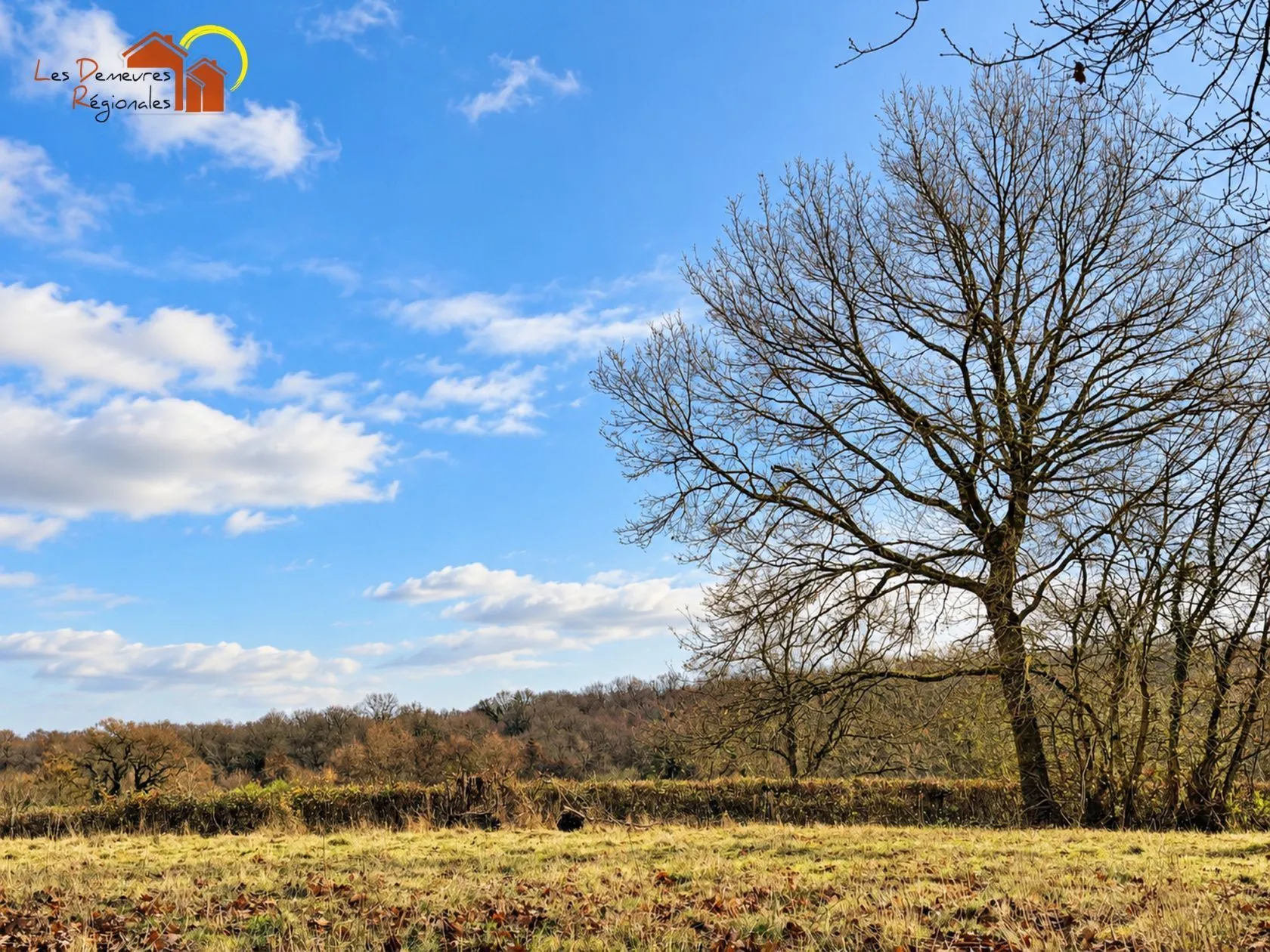 Terrain à bâtir 1205 m² à Paray-le-Monial (71600)