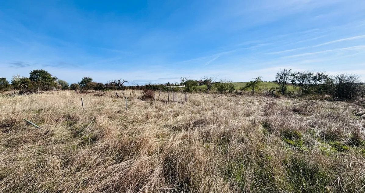 Maison neuve 90 m² à Messimy (69510)
