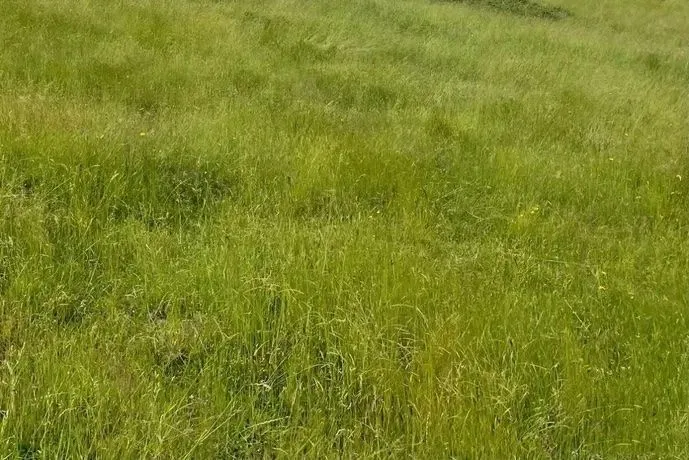 Terrain à bâtir 437 m² à Chauray (79180)