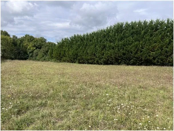 Maison neuve 84 m² à Maine-de-Boixe (16230)