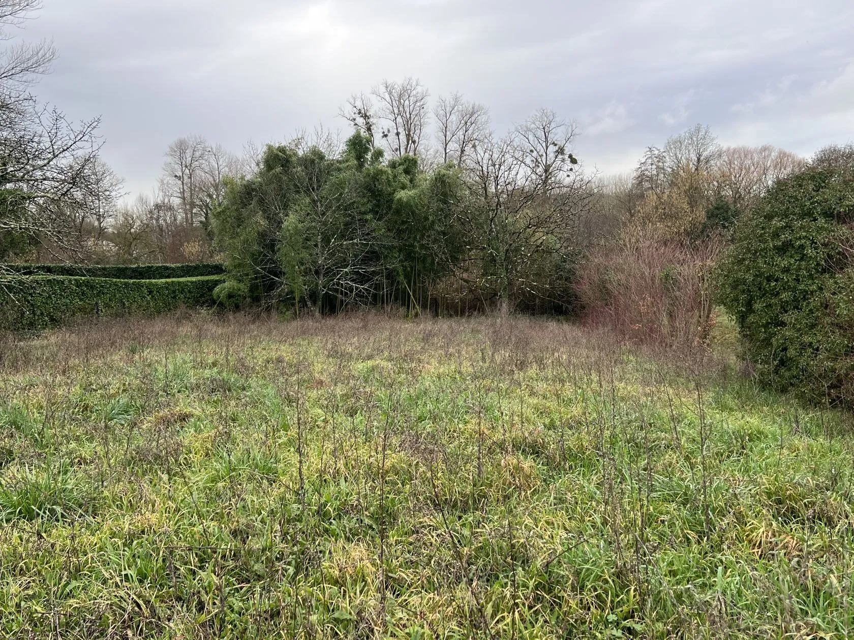 Terrain à bâtir 2784 m² à Angoulême (16000)