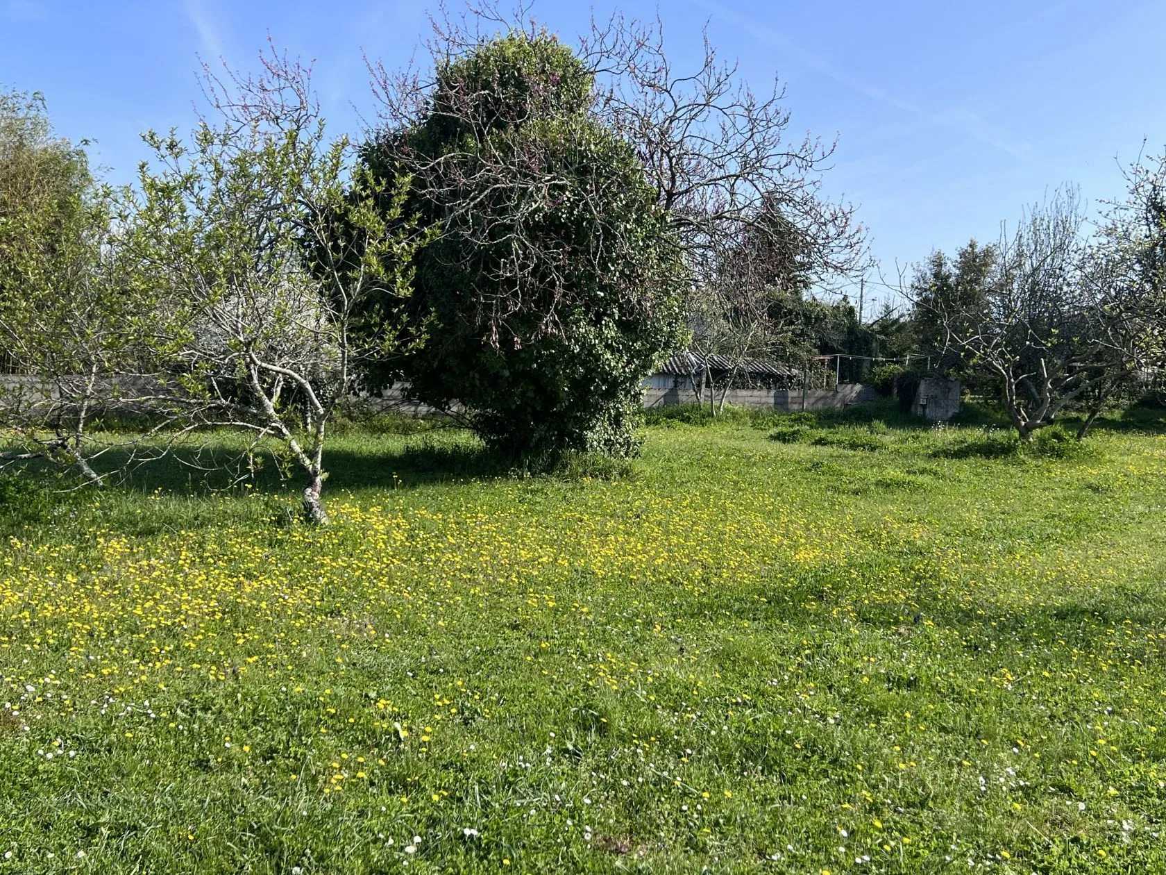 Terrain à bâtir 439 m² à Soyaux (16800)