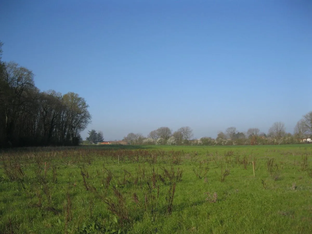 Maison neuve 91 m² à Sainte-Eanne (79800)