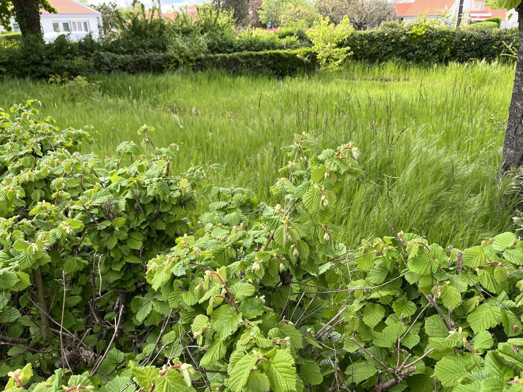 Terrain à bâtir 285 m² à Rezé (44400)