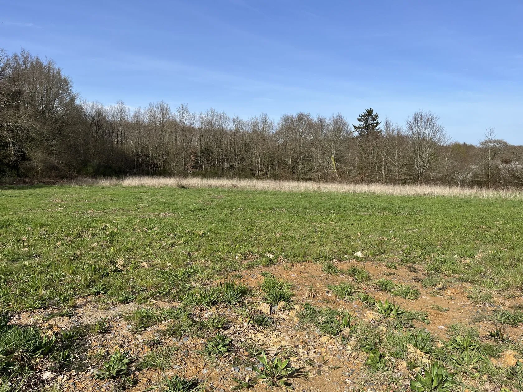 Terrain à bâtir 965 m² à Orvault (44700)