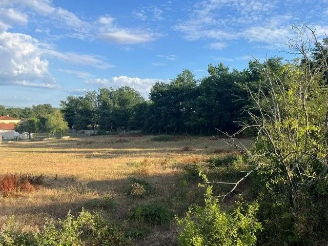 Maison neuve 87 m² à Valeille (42110)