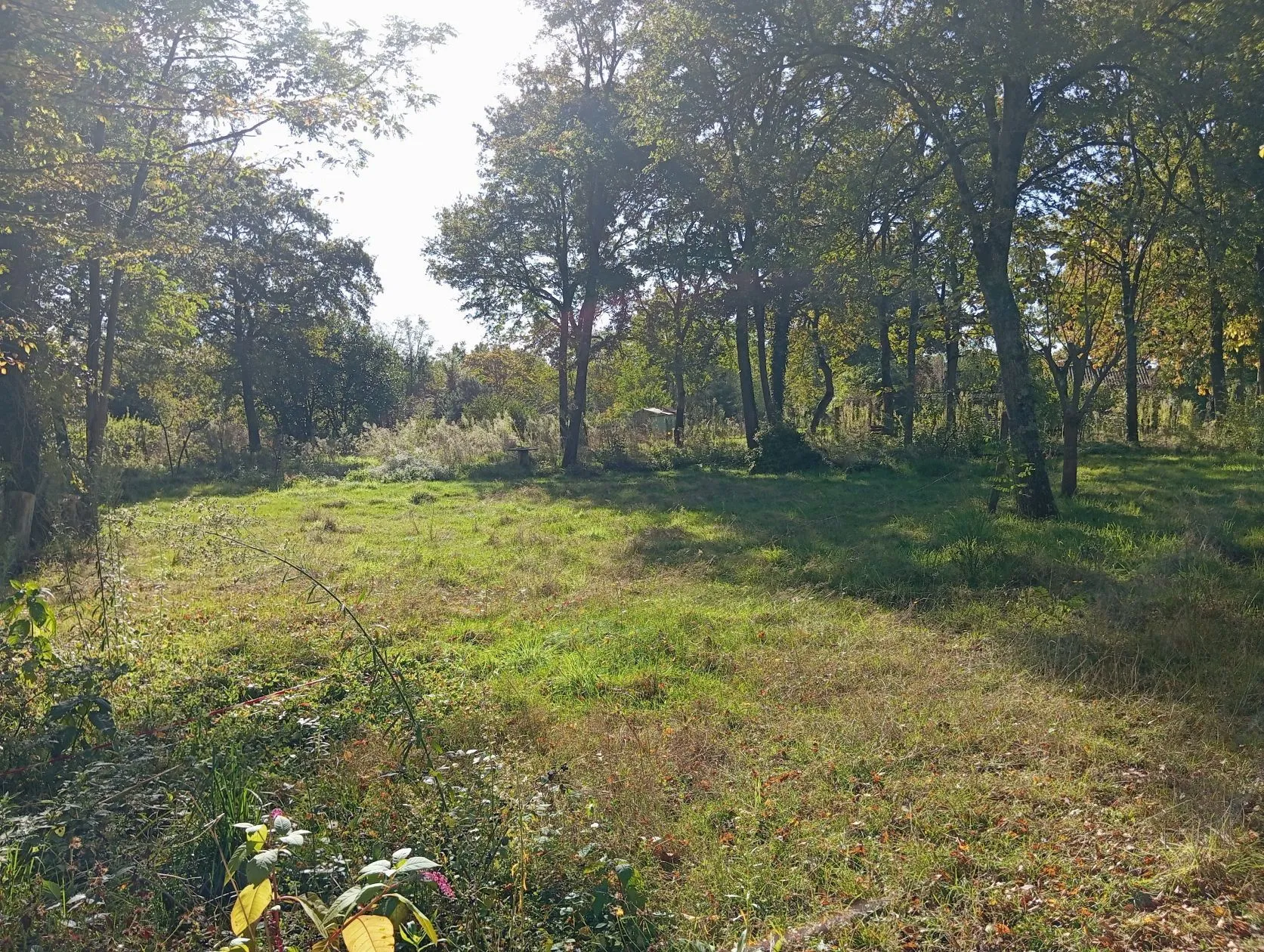 Maison neuve 125 m² à Châteauneuf-sur-Loire (45110)