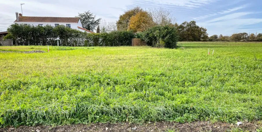 Terrain à bâtir 363 m² à Lège (44650)
