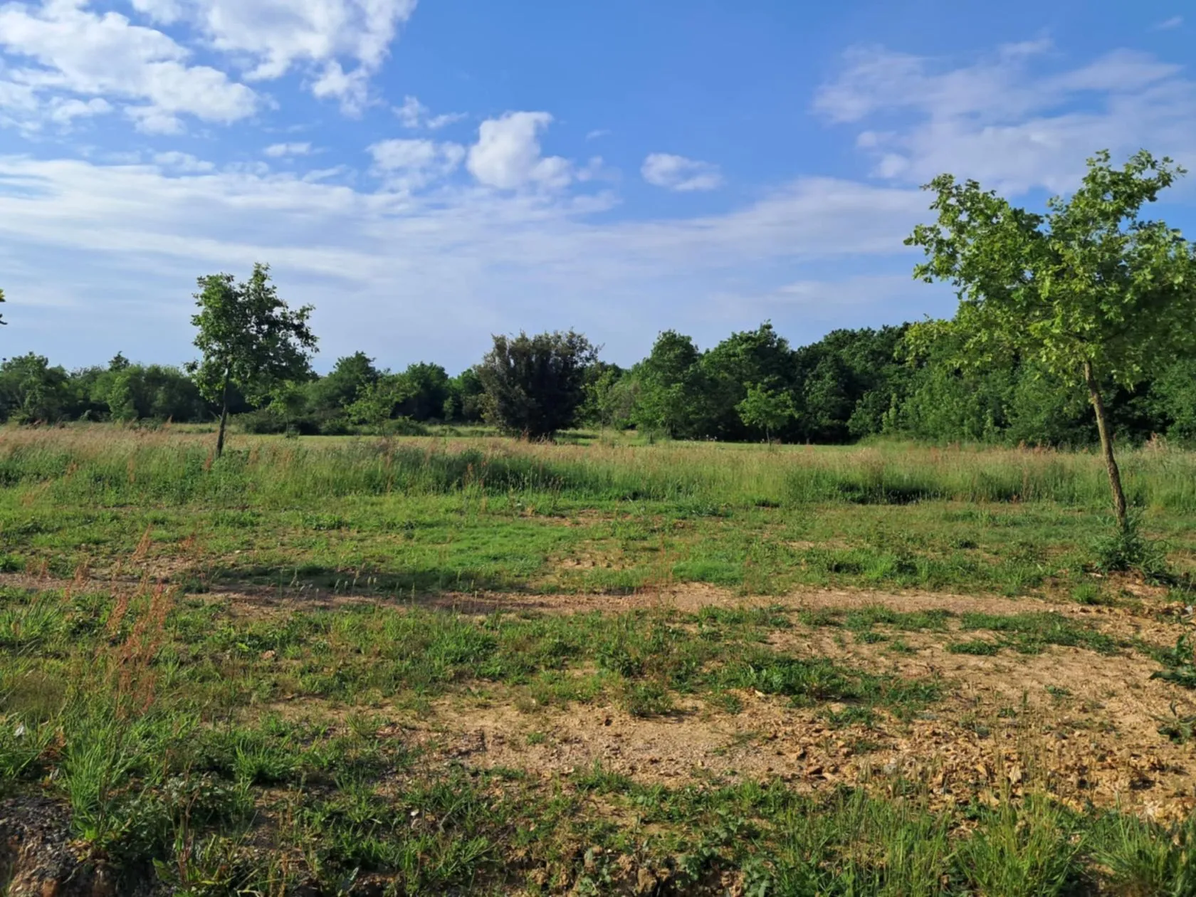 Maison neuve 62 m² à Talmont-Saint-Hilaire (85440)