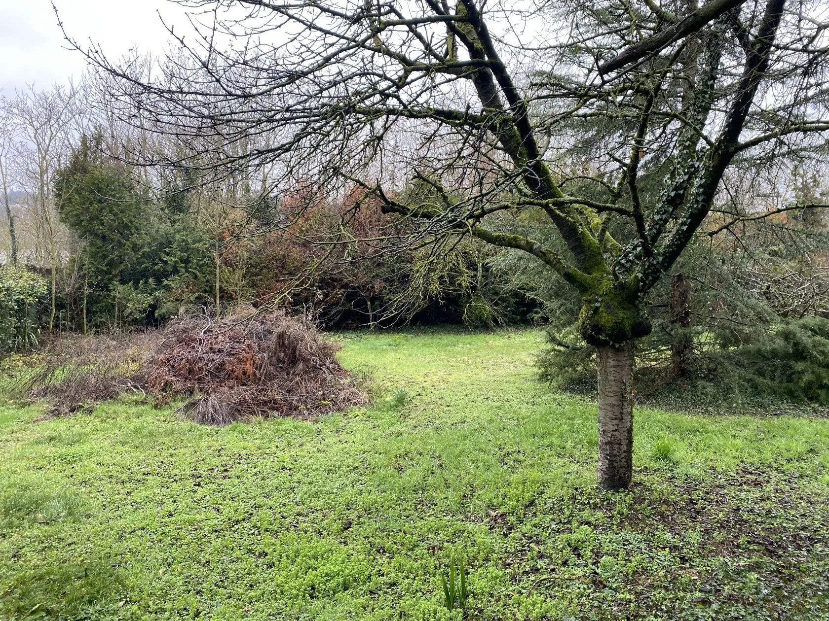 Terrain à bâtir 350 m² à Morsang-sur-Orge (91390)
