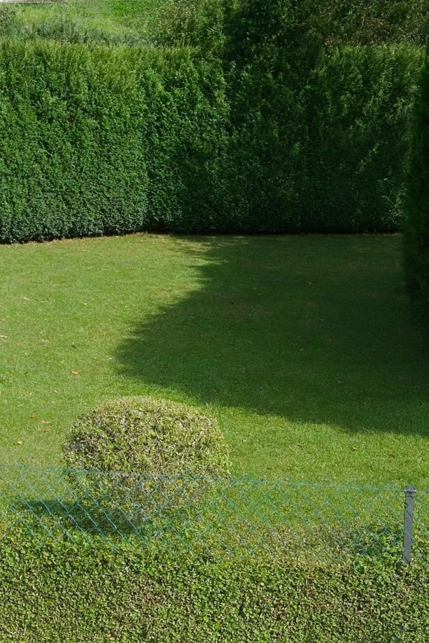 Terrain à bâtir 210 m² à Bonnelles (78830)