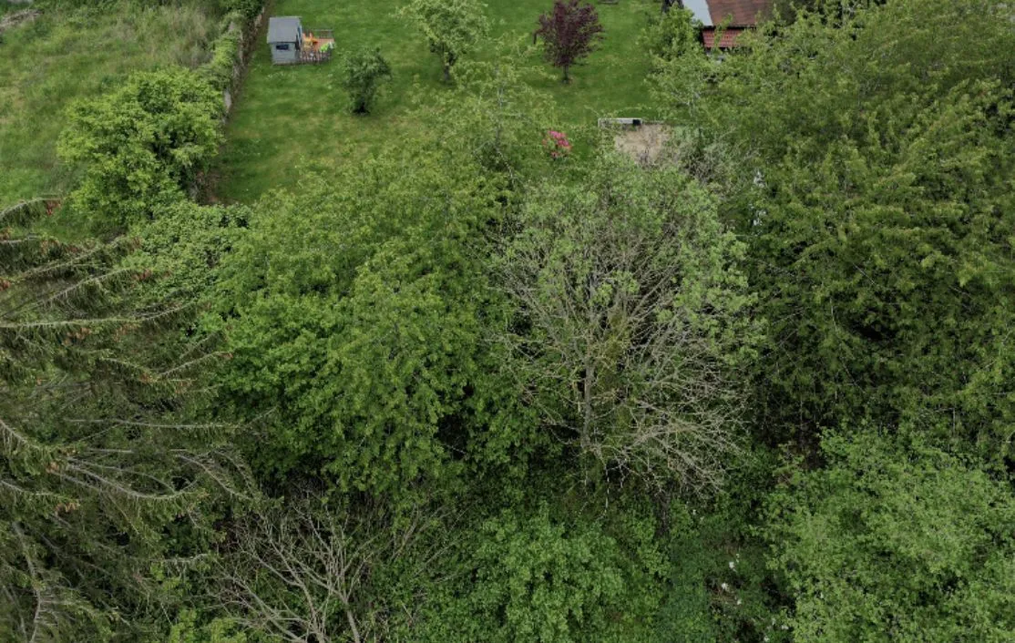 Terrain à bâtir 329 m² à Pecqueuse (91470)