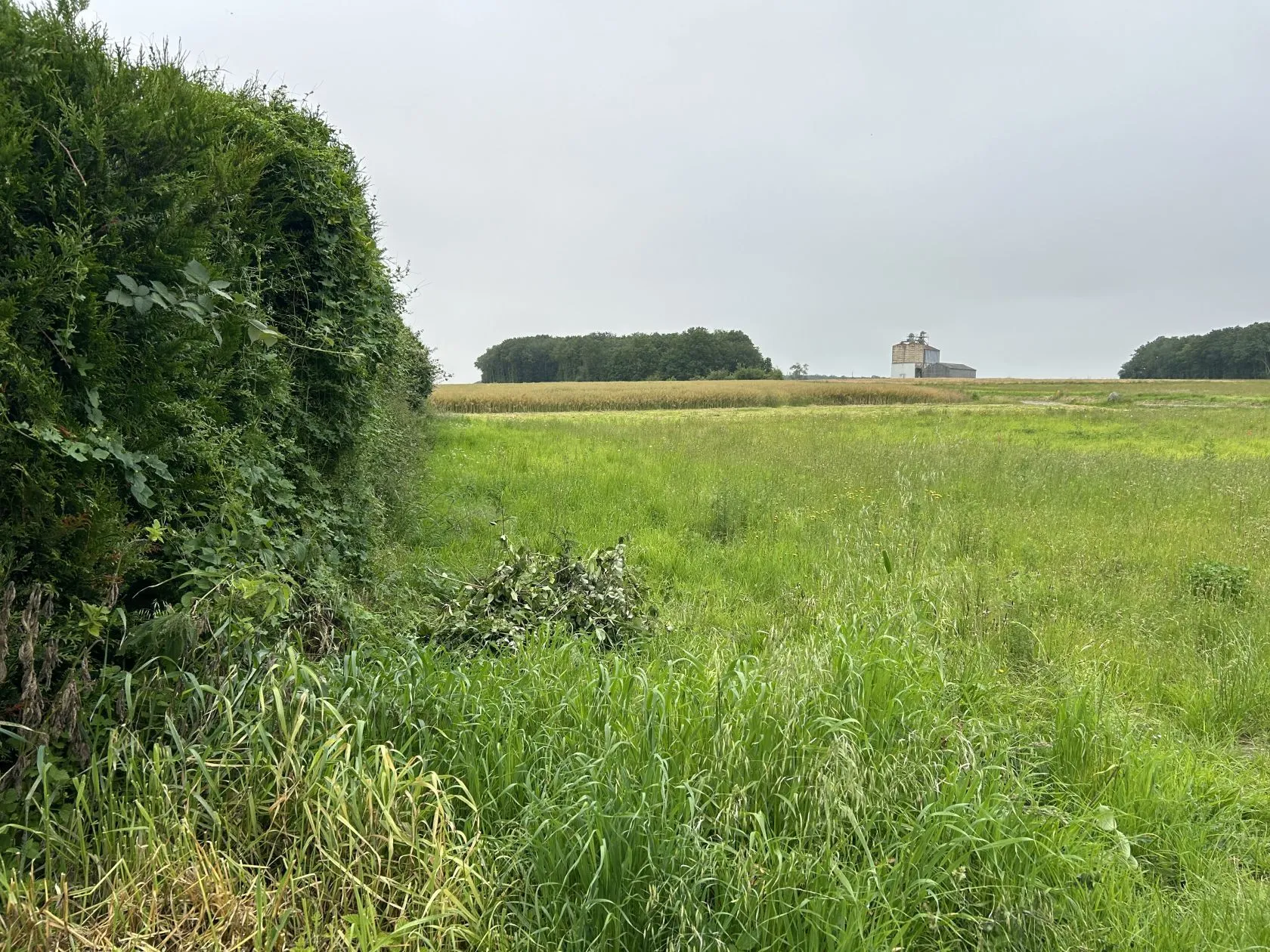 Terrain à bâtir 586 m² à Saint-Arnoult-des-Bois (28190)