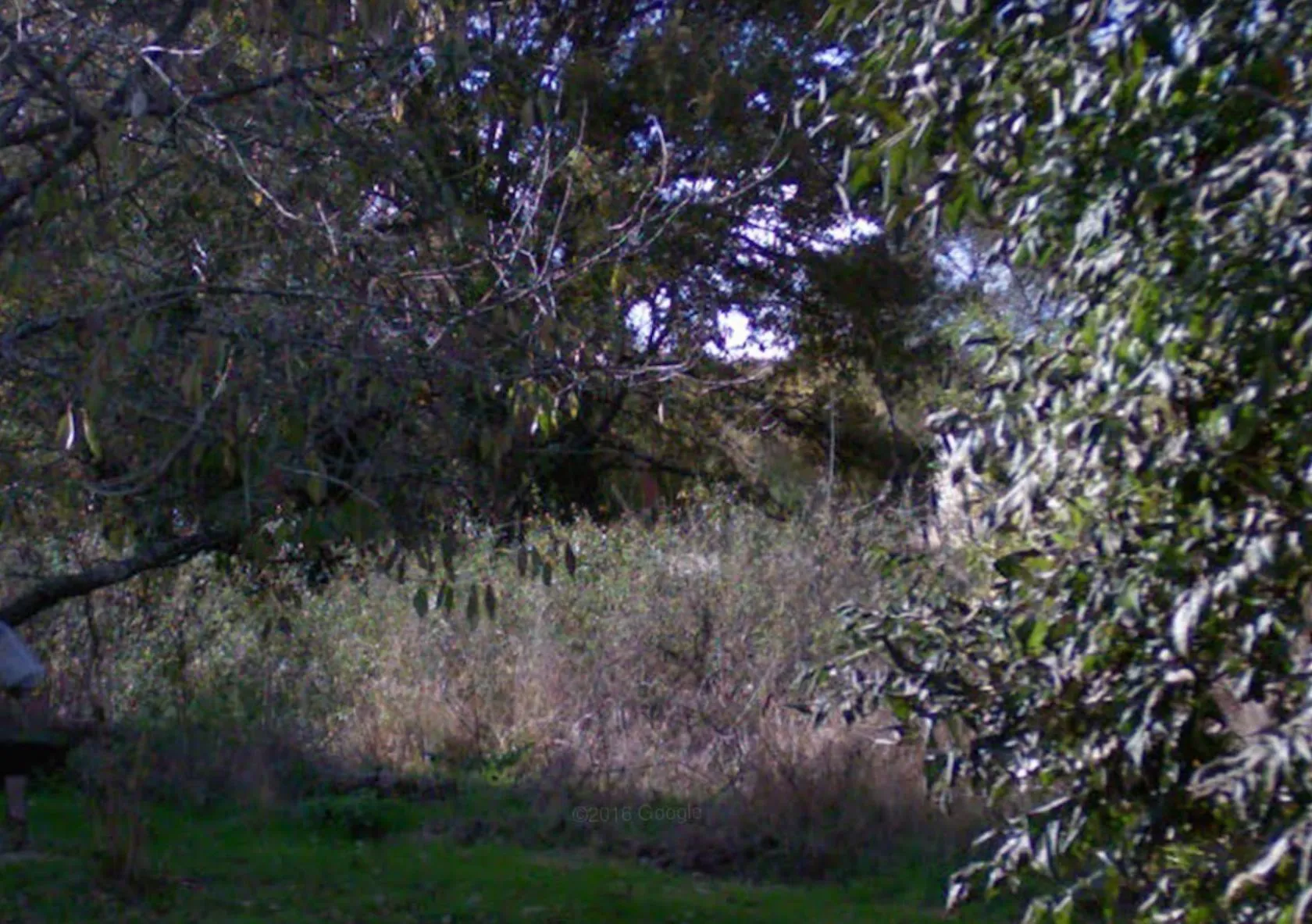 Terrain à bâtir 391 m² à La Celle-les-Bordes (78720)