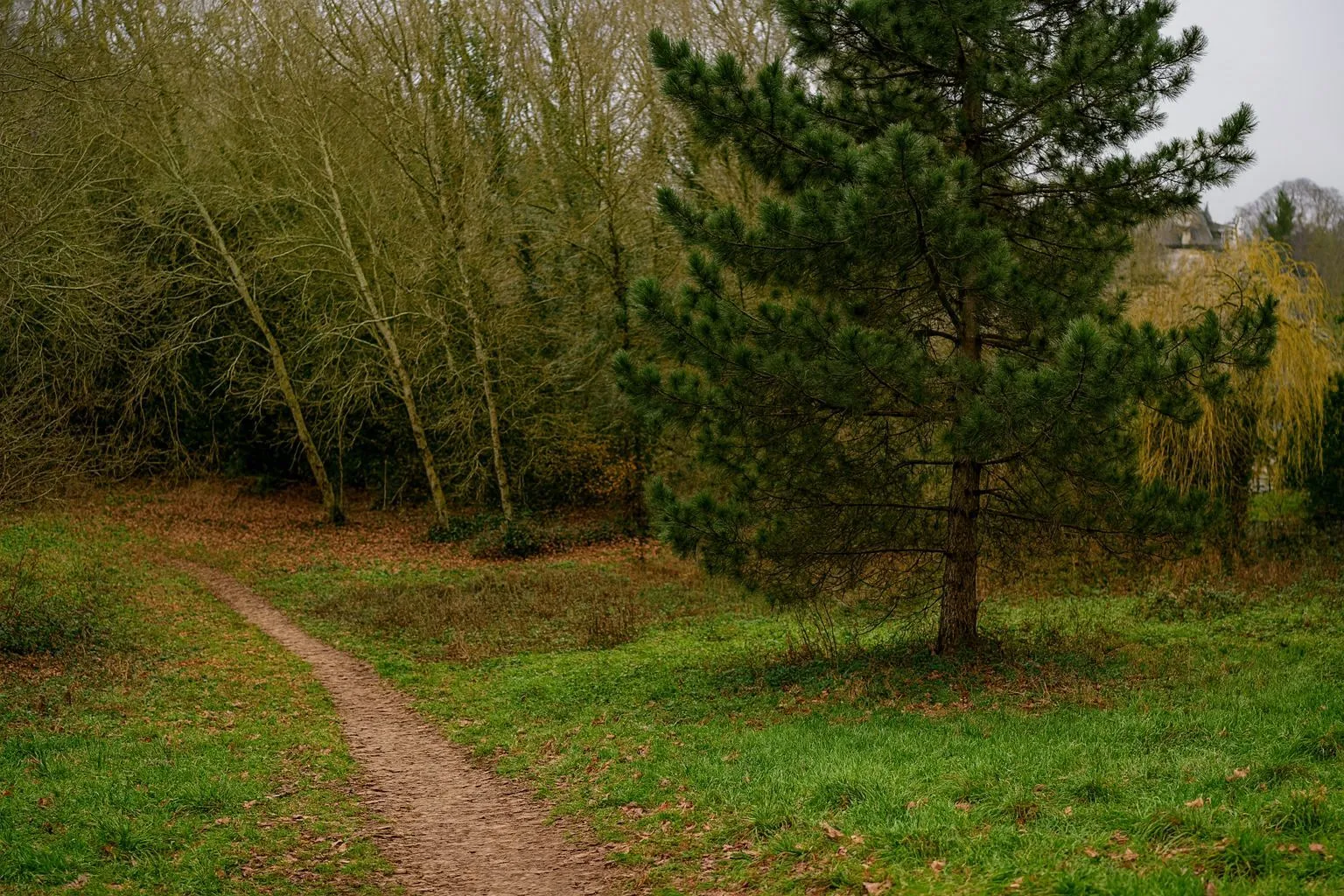 Terrain à bâtir à Flins-Neuve-Église