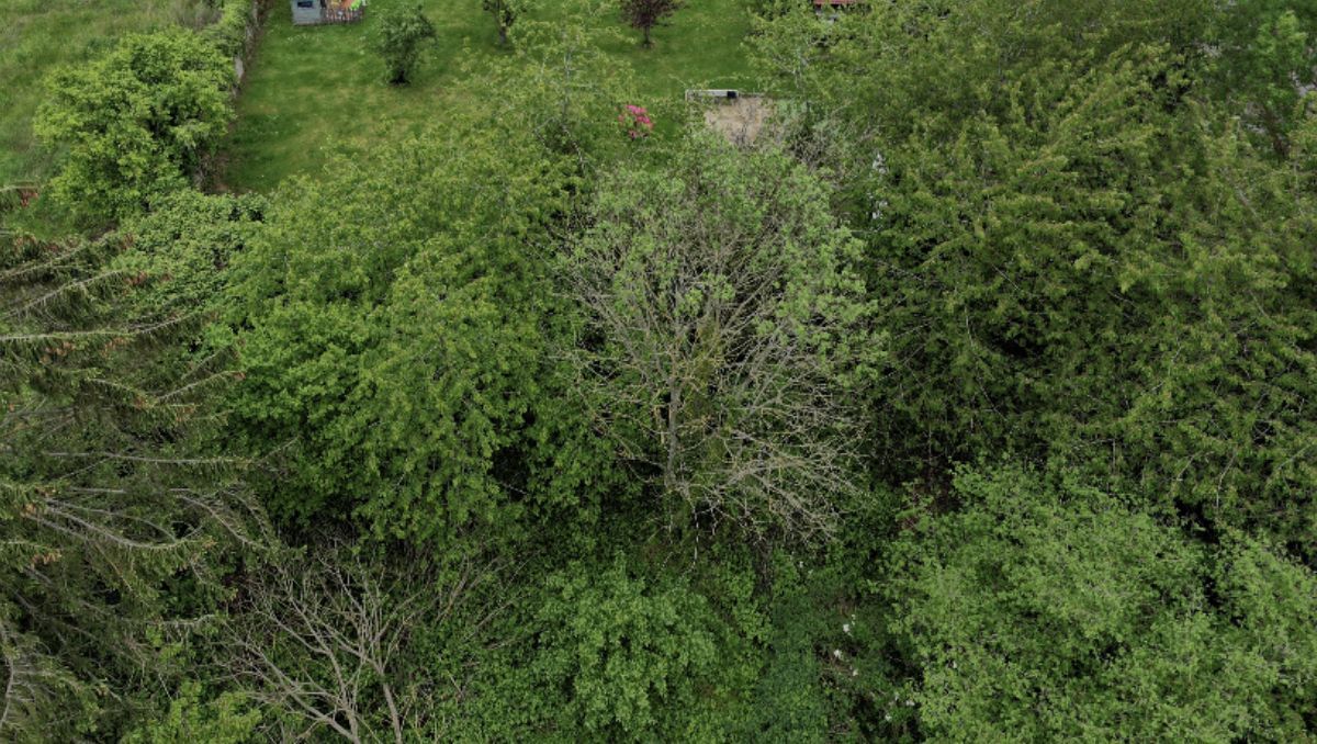Terrain à bâtir 402 m² à Pecqueuse (91470)