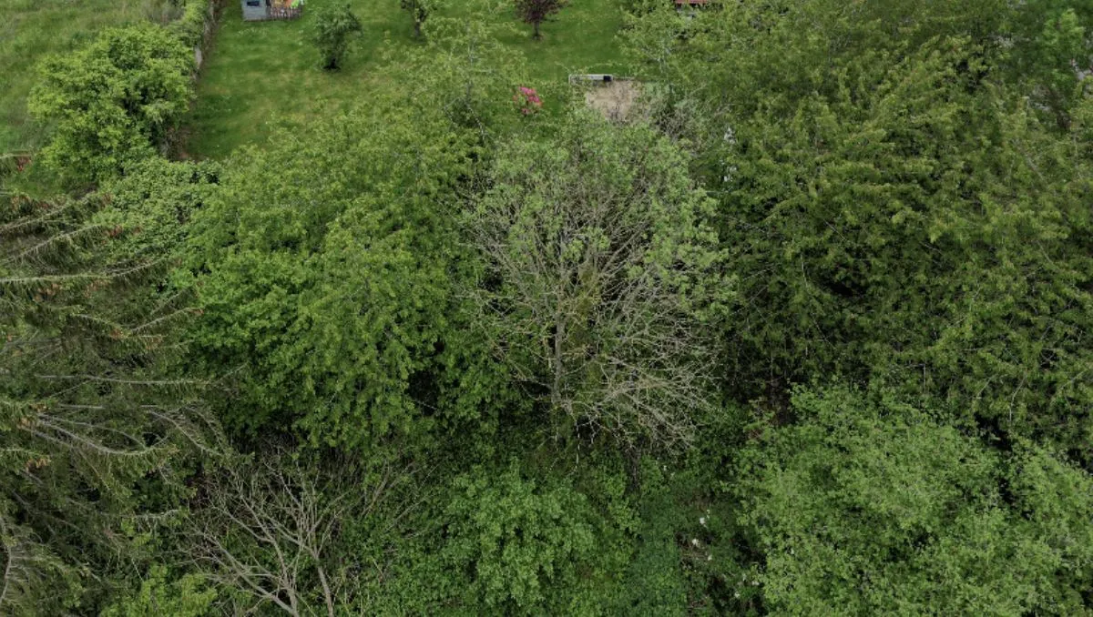 Terrain à bâtir 402 m² à Pecqueuse (91470)
