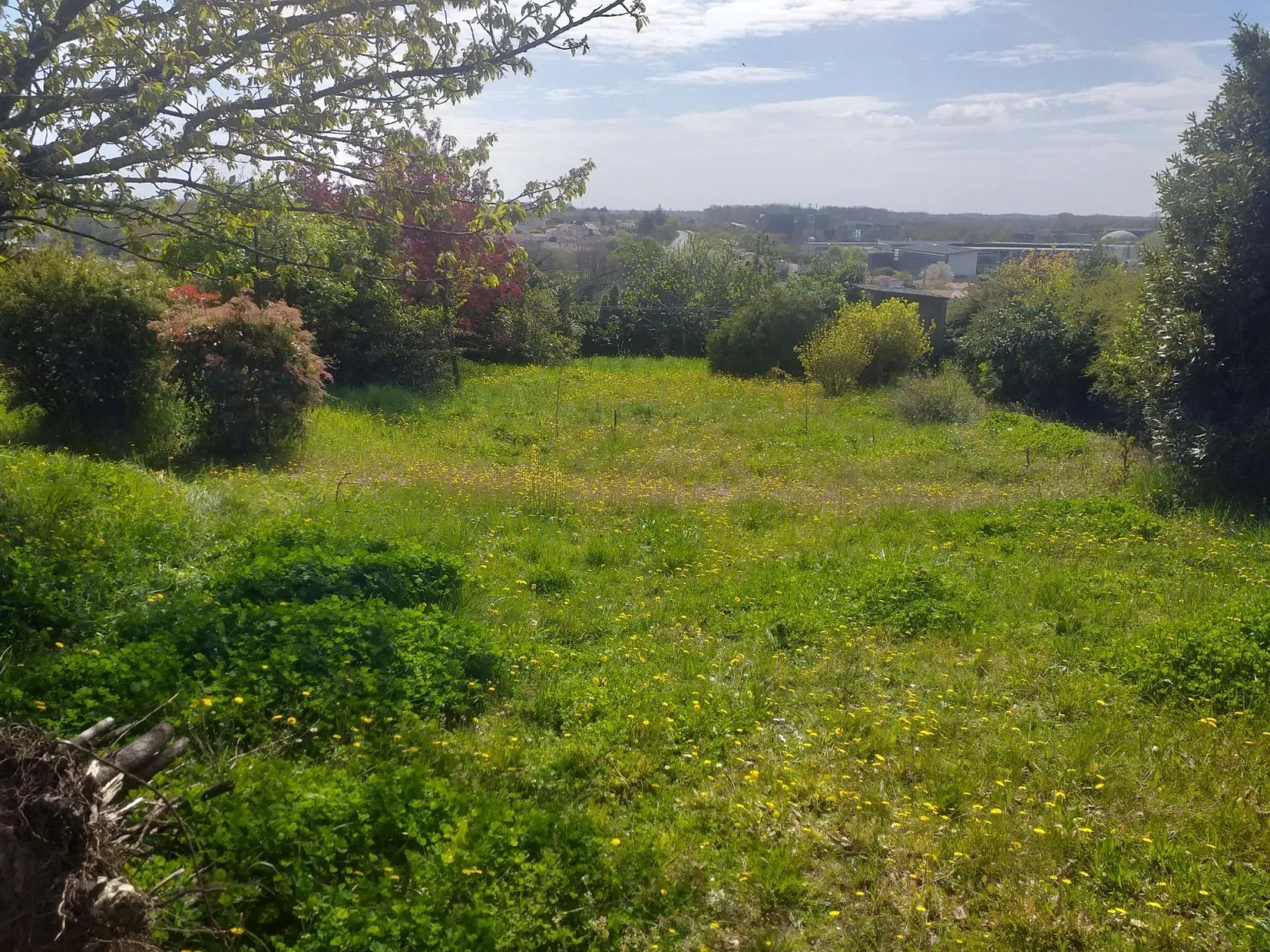 Terrain à bâtir 500 m² à Niort (79000)