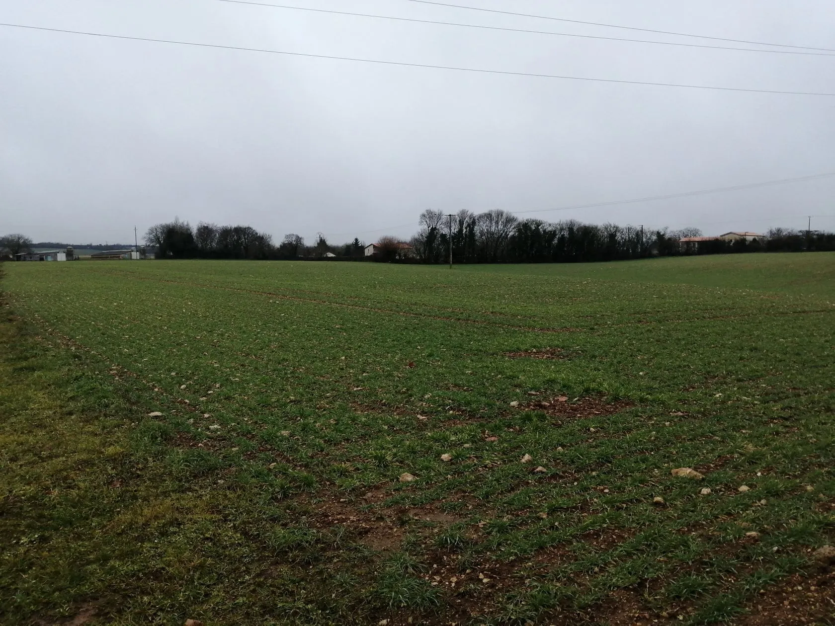 Terrain à bâtir 311 m² à Échiré (79410)