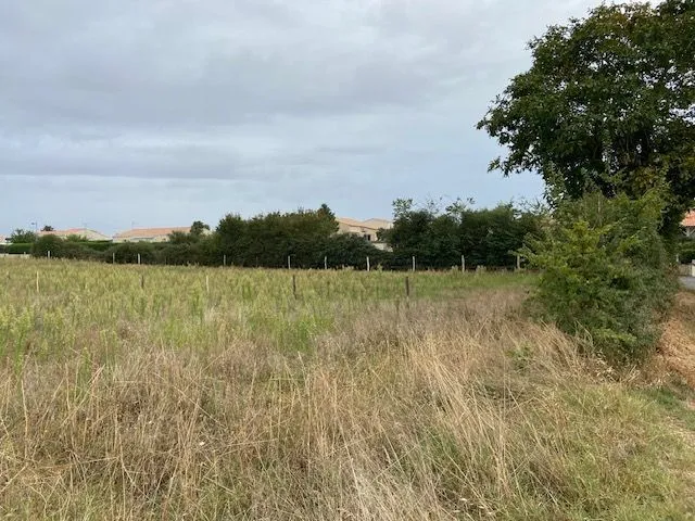 Maison neuve 81 m² à Villiers-en-Plaine (79160)