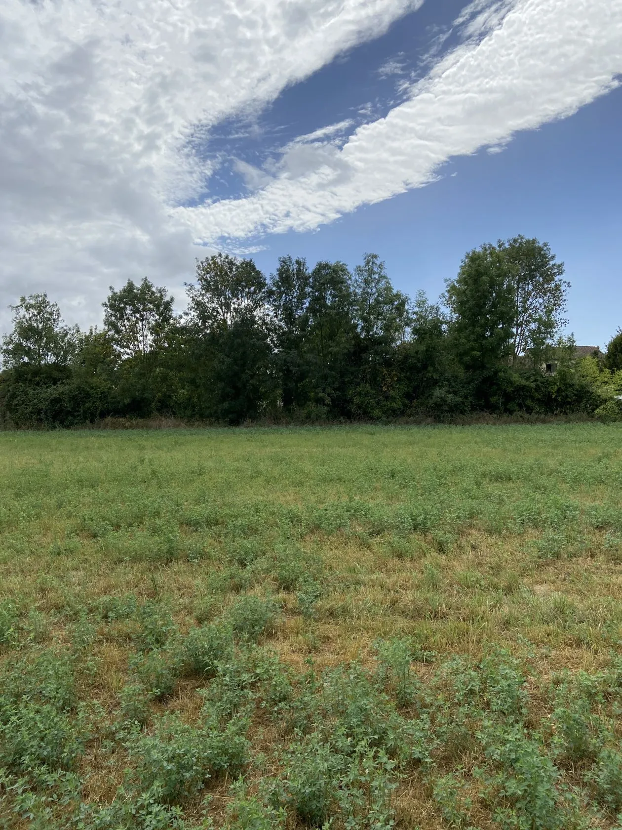 Maison neuve 87 m² à Granzay-Gript (79360)