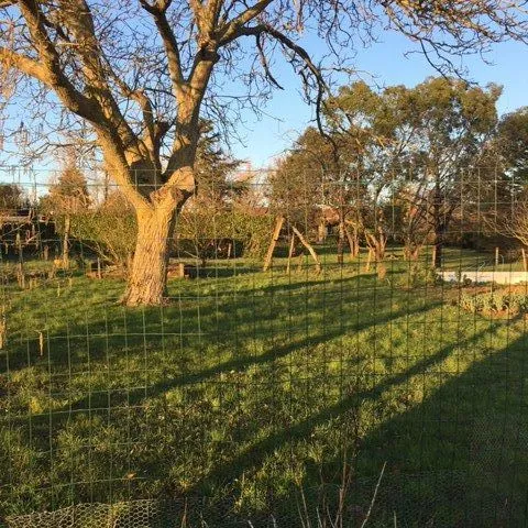 Maison neuve 79 m² à Foussais-Payré (85240)