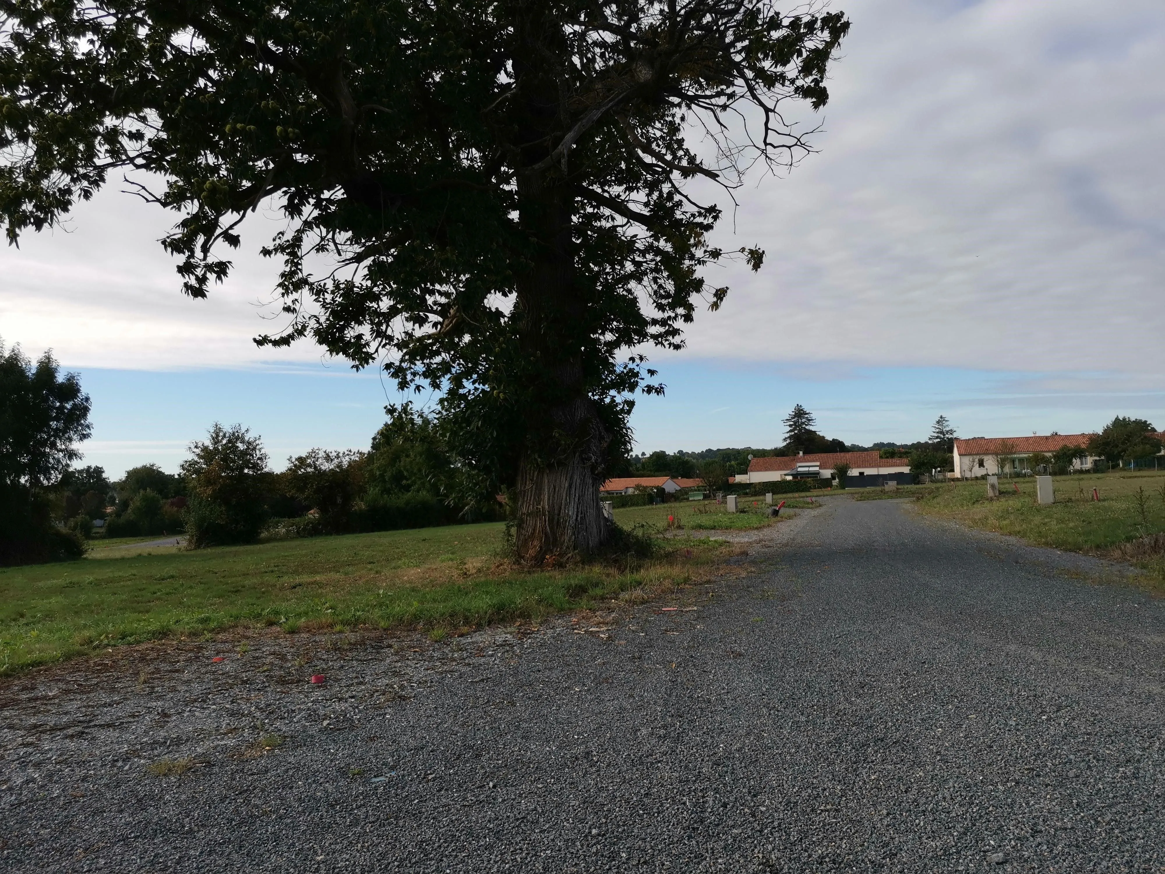 Maison neuve 80 m² à Secondigny (79130)