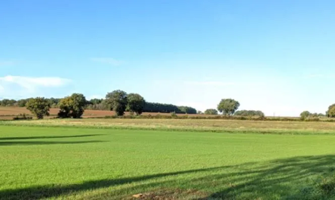 Maison neuve 79 m² à Iteuil (86240)