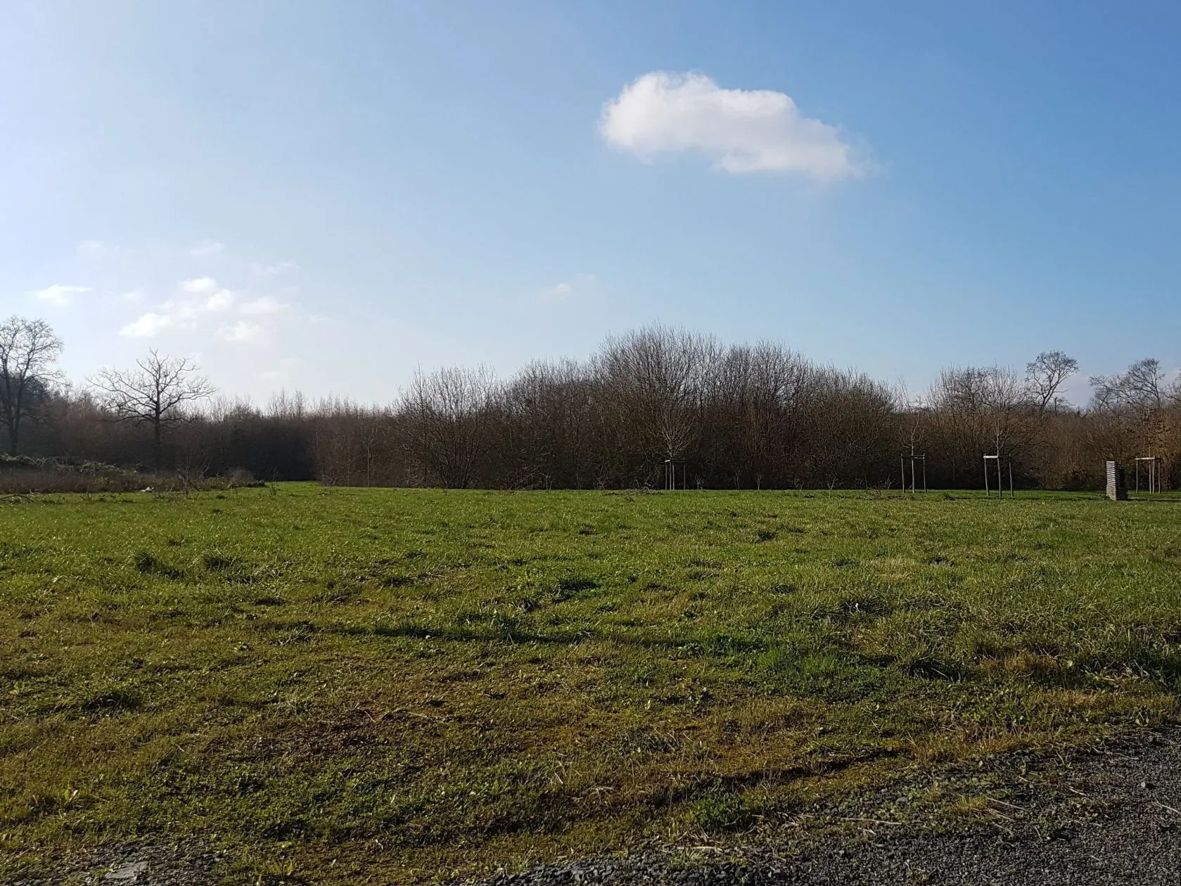 Maison neuve 123 m² à L'Hôtellerie-de-Flée (49500)