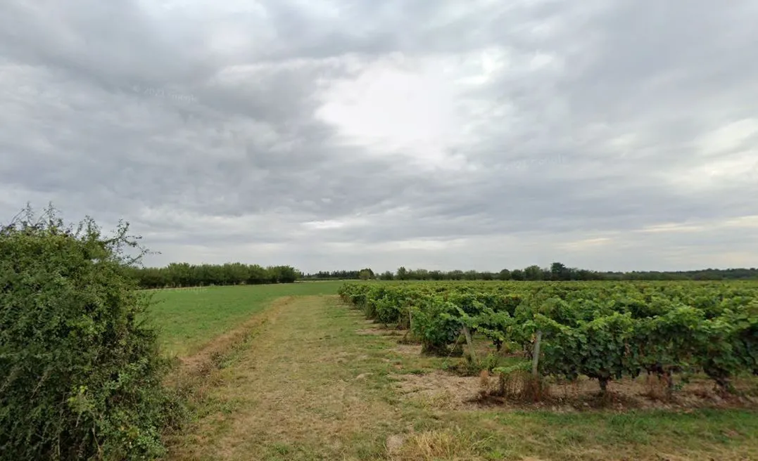 Maison neuve 97 m² à Notre-Dame-d'Allençon (49380)