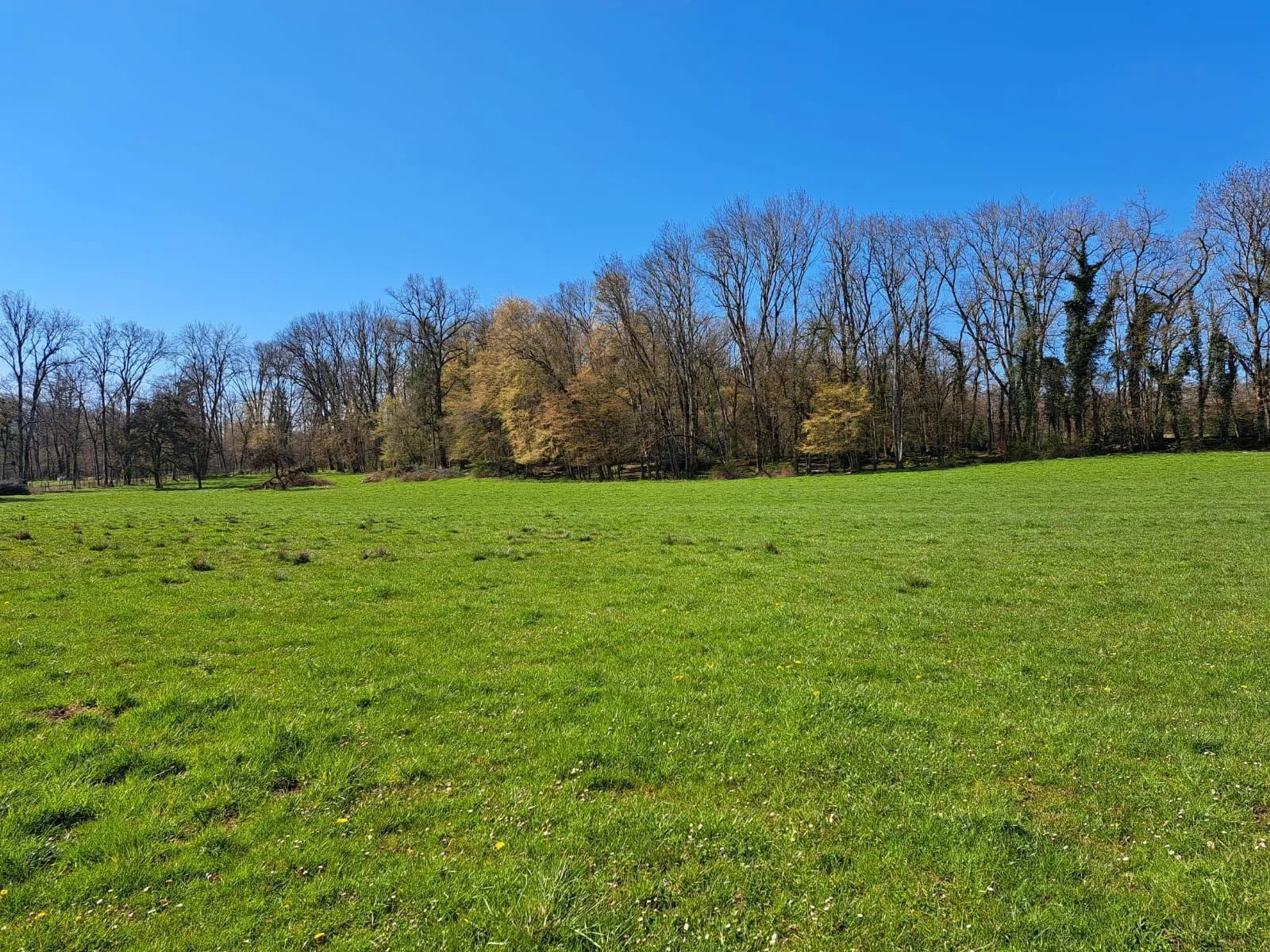 Maison neuve 102 m² à Scientrier (74930)