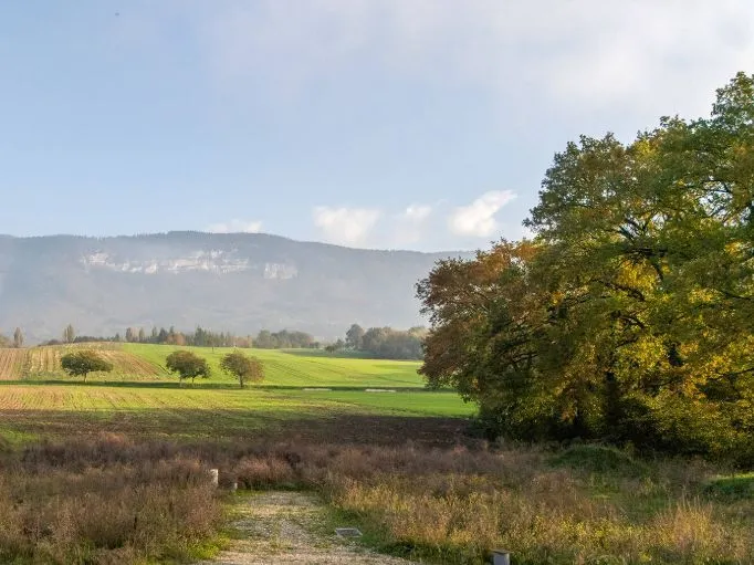 Maison neuve 134 m² à Archamps (74160)