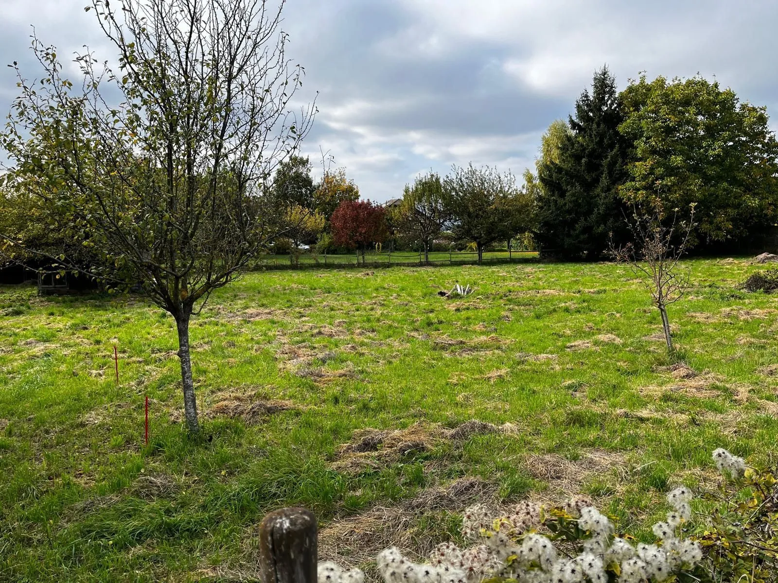 Maison neuve 108 m² à Cranves-Sales (74380)