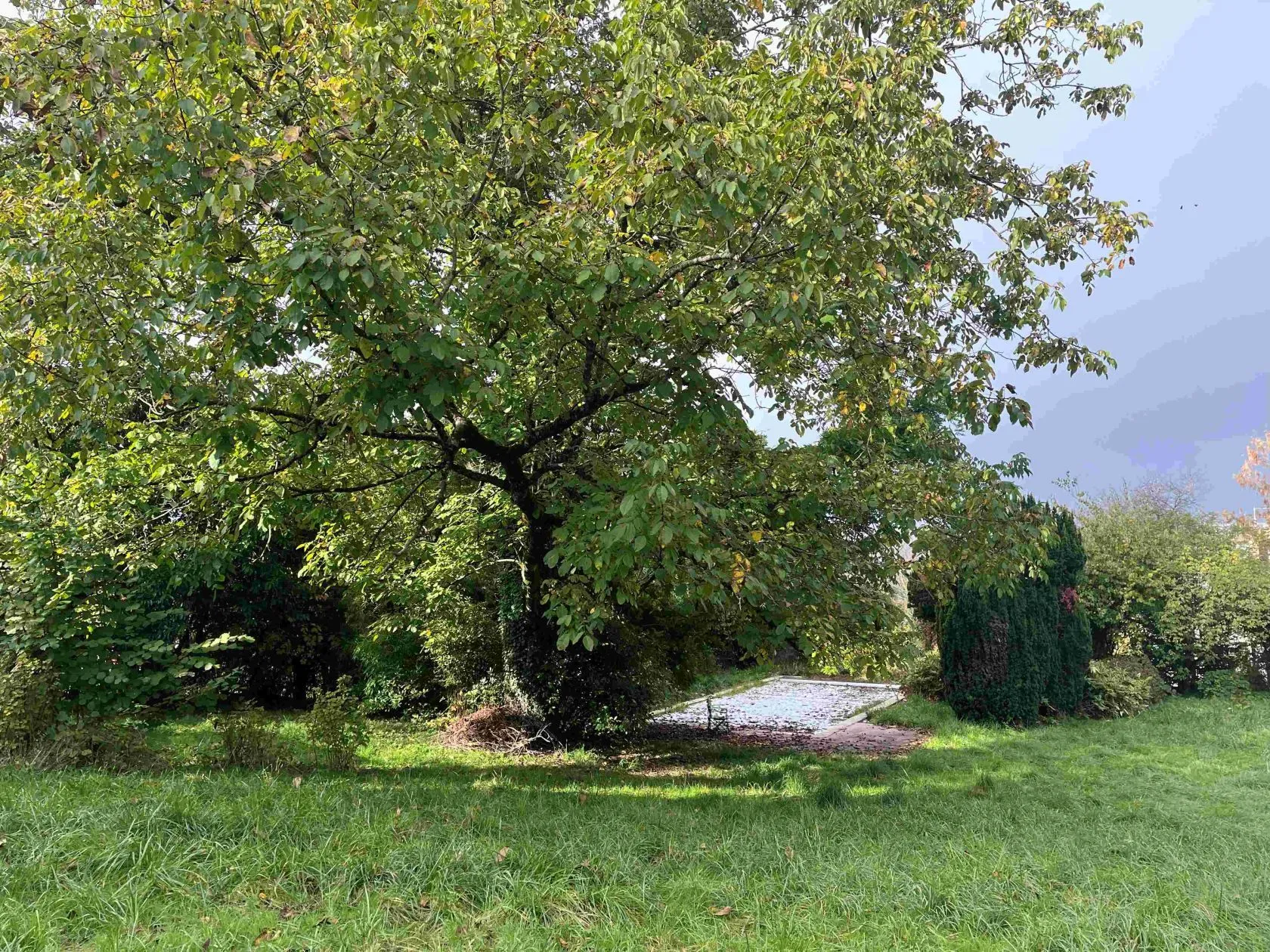 Maison neuve 130 m² à Grésy-sur-Aix (73100)