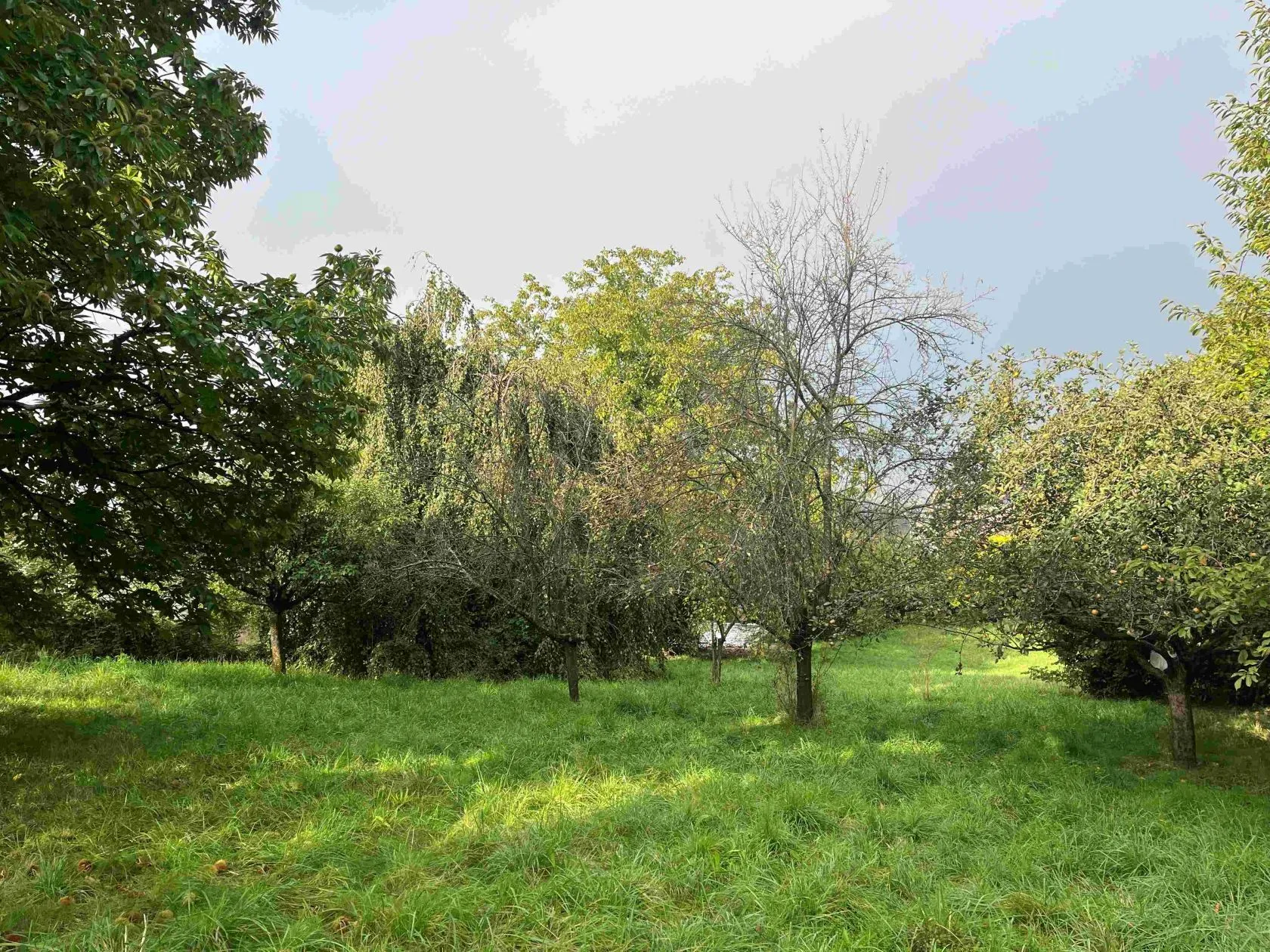 Maison neuve 130 m² à Grésy-sur-Aix (73100)