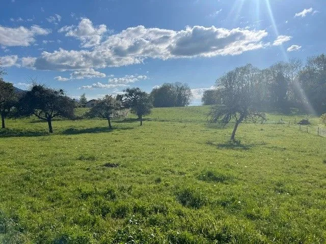 Maison neuve 105 m² à Larringes (74500)