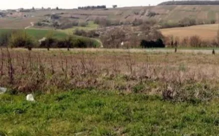 Terrain à bâtir 904 m² à Châtillon-sur-Marne (51700)