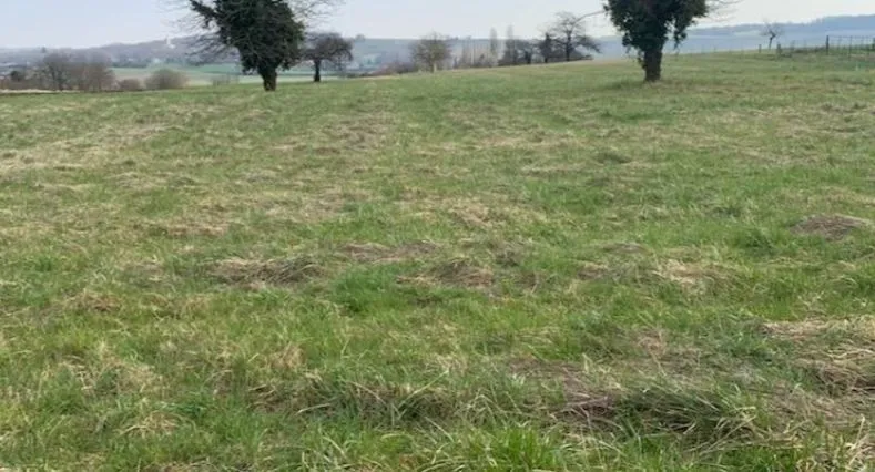 Terrain à bâtir 980 m² à Dormans (51700)