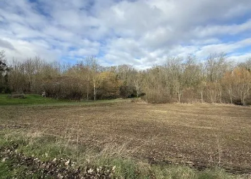 Terrain à bâtir 1000 m² à Reims (51100)
